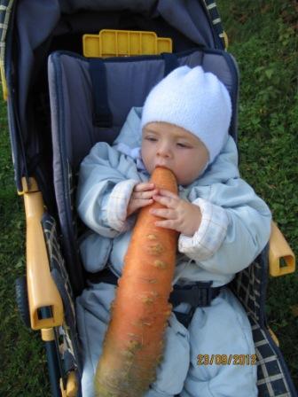 Лёнчик с морковкой