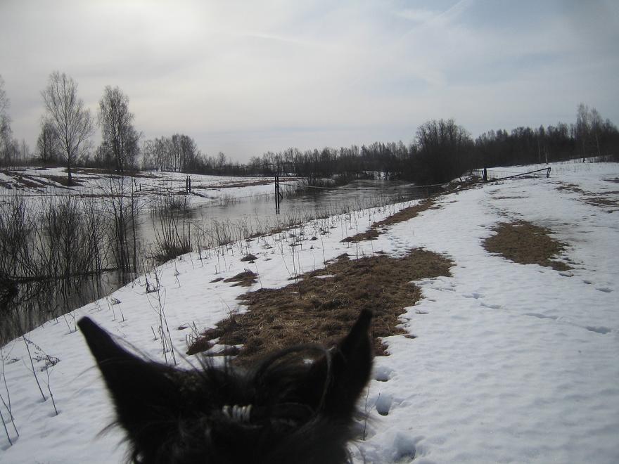 Вода поднимается