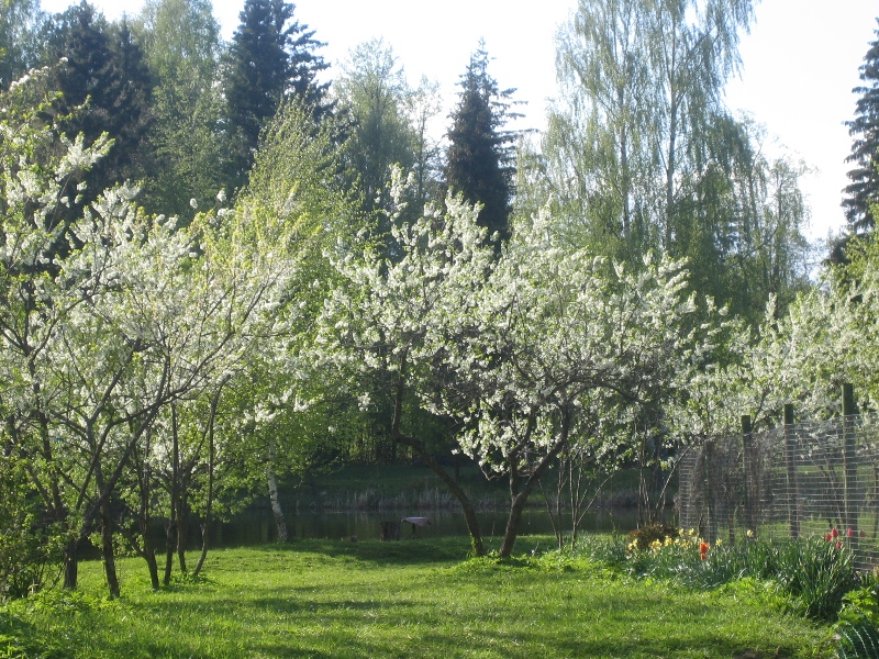 16 мая . Солнце.